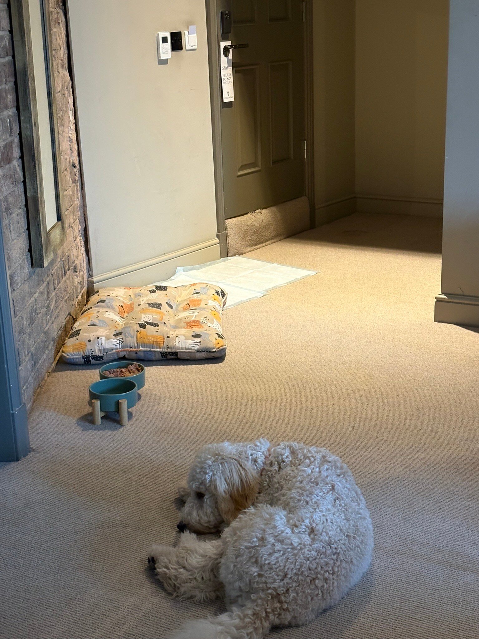 Kings Head Hotel-官方