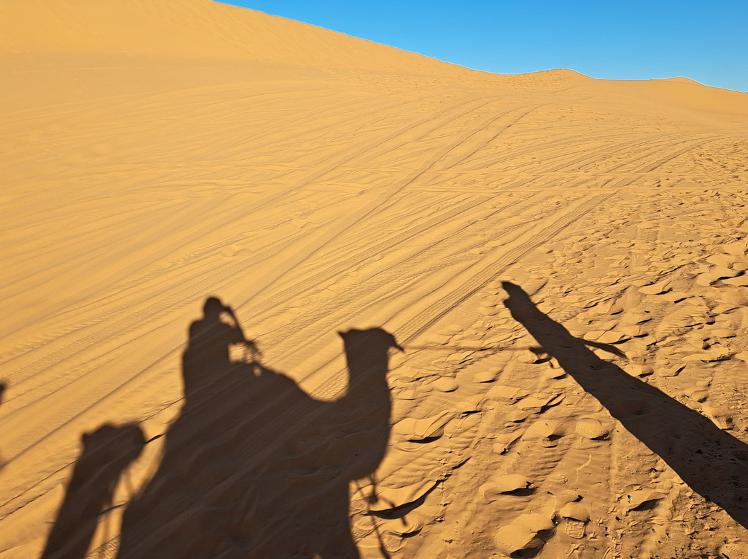 Tours in Marrakech-马拉喀什必去景点