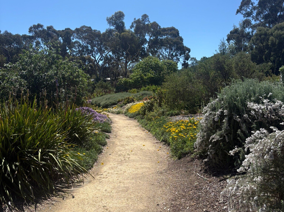 Wittunga Botanic Garden-Blackwood必去景点