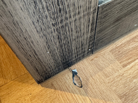 Hotel Indigo 格拉斯哥主图