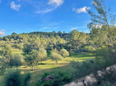El Tren de Soller-马洛卡帕尔马必去景点
