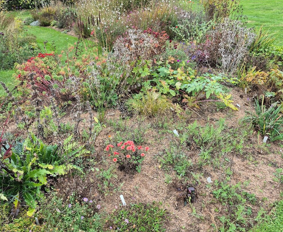 Norwell Nurseries and Gardens-Norwell必去景点