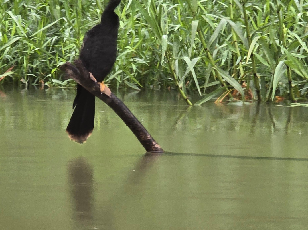 Best of Costa Rica DMC-圣何塞必去景点