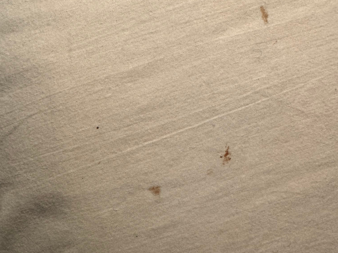 Red Roof PLUS+ & Suites Chattanooga - Downtown主图