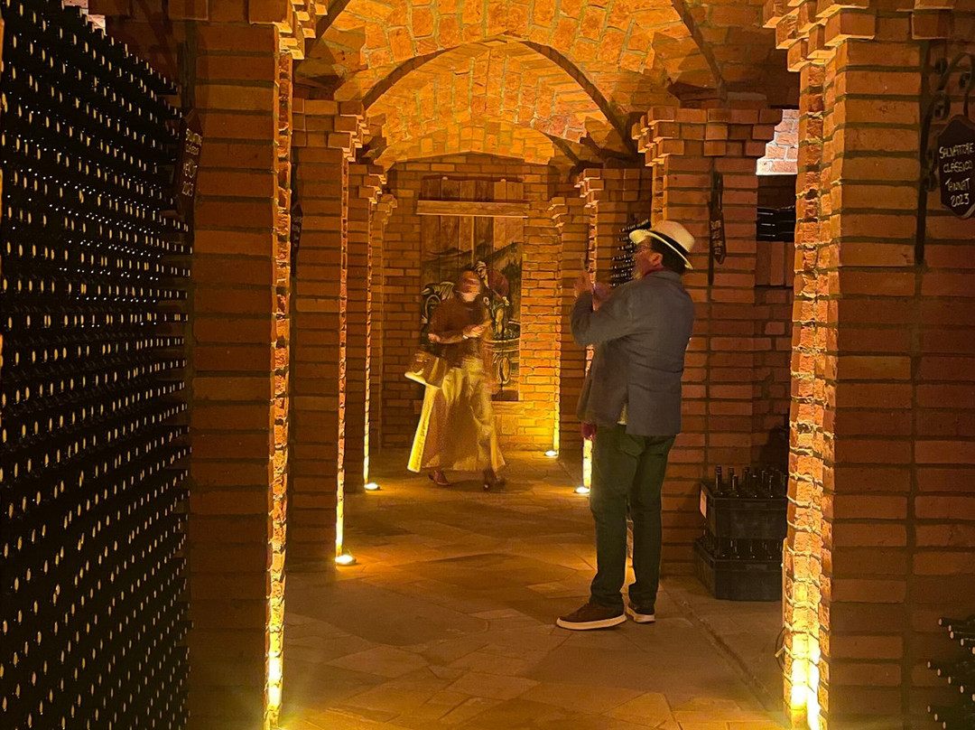 Vinícola Salvattore-Flores Da Cunha必去景点