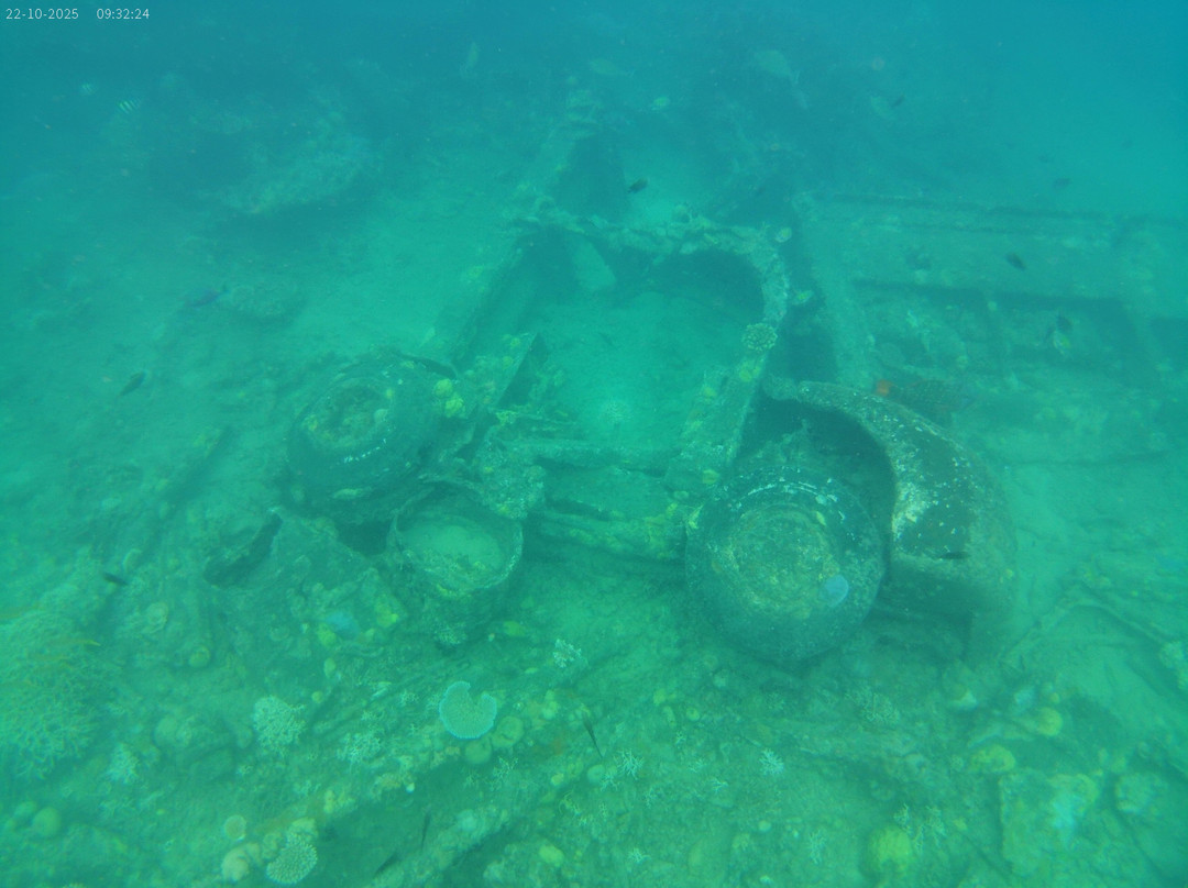 Pacific Dive-卢甘维尔必去景点