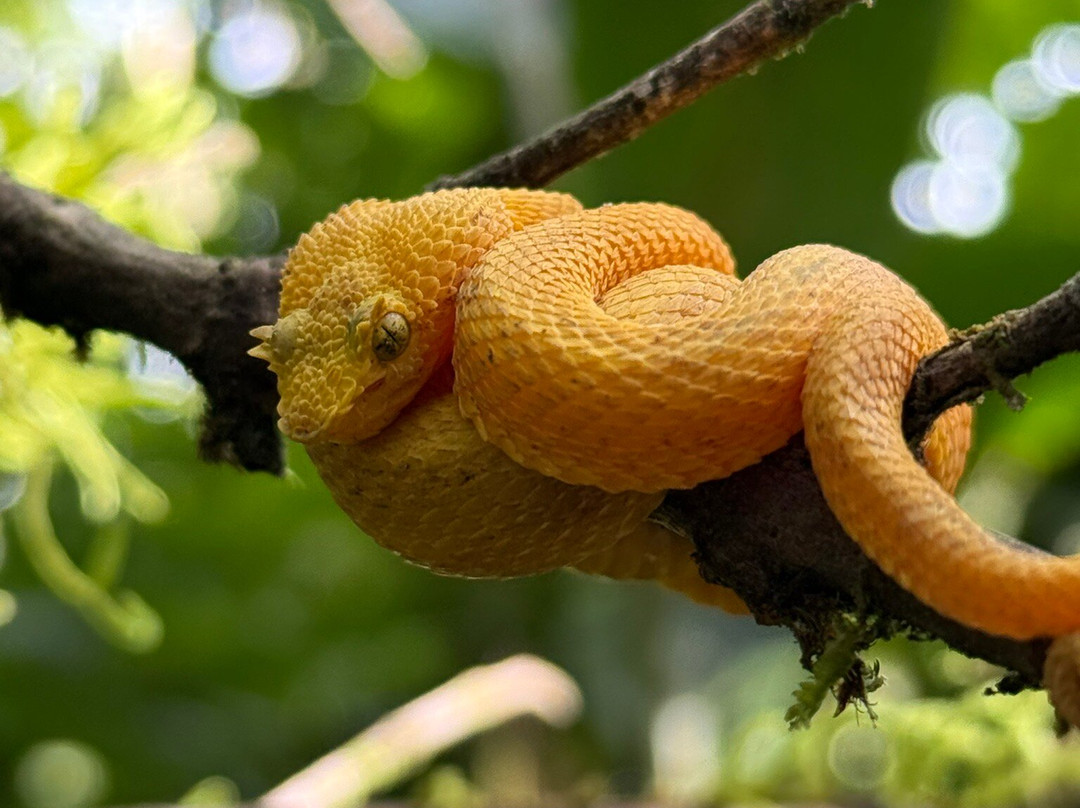 Life Time Travel-萨迪纳尔必去景点