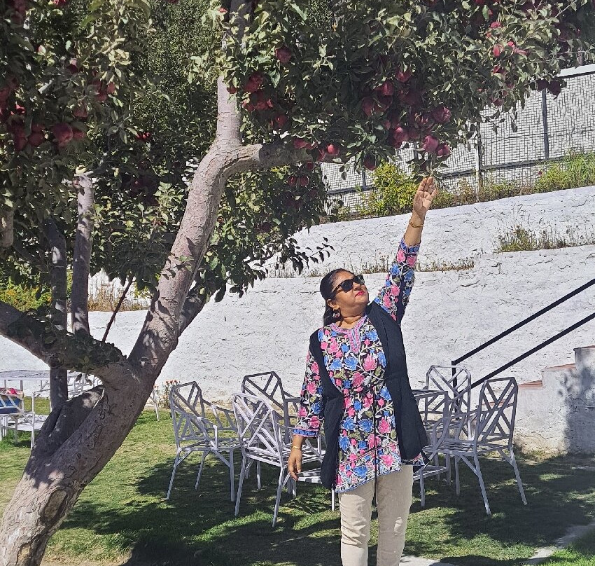 Sonu Driver Himachal-Solan必去景点