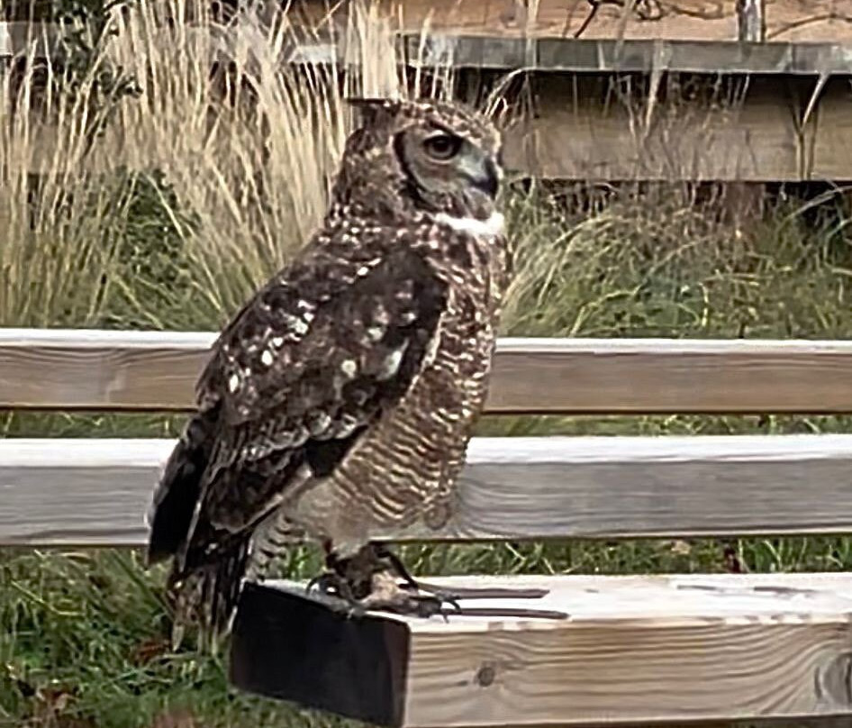 Espace Rambouillet-Rambouillet必去景点