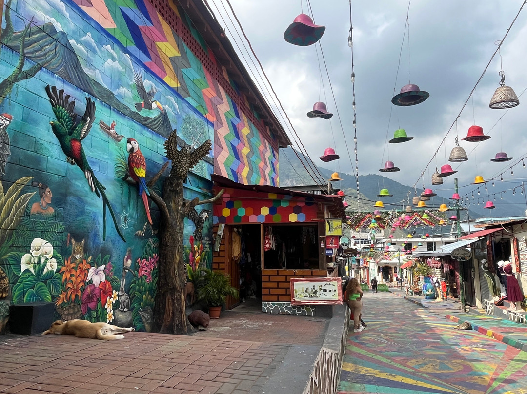 Virage Travel-波哥大必去景点