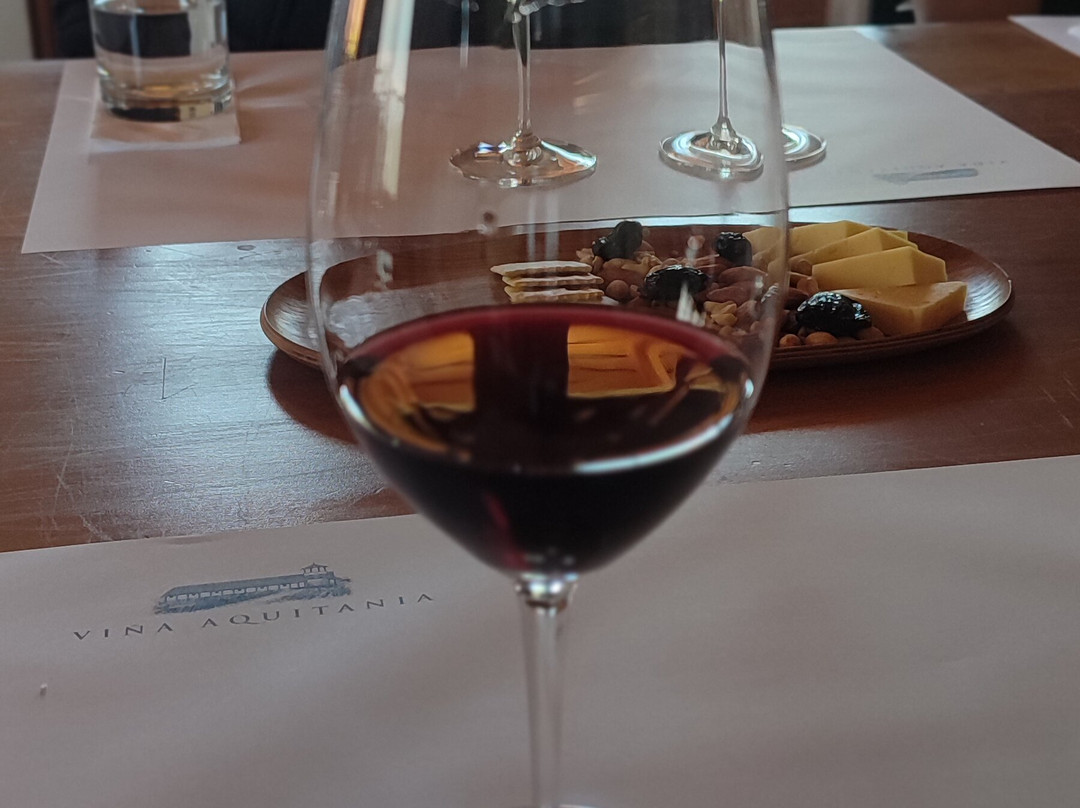 Vina Aquitania-圣地亚哥必去景点