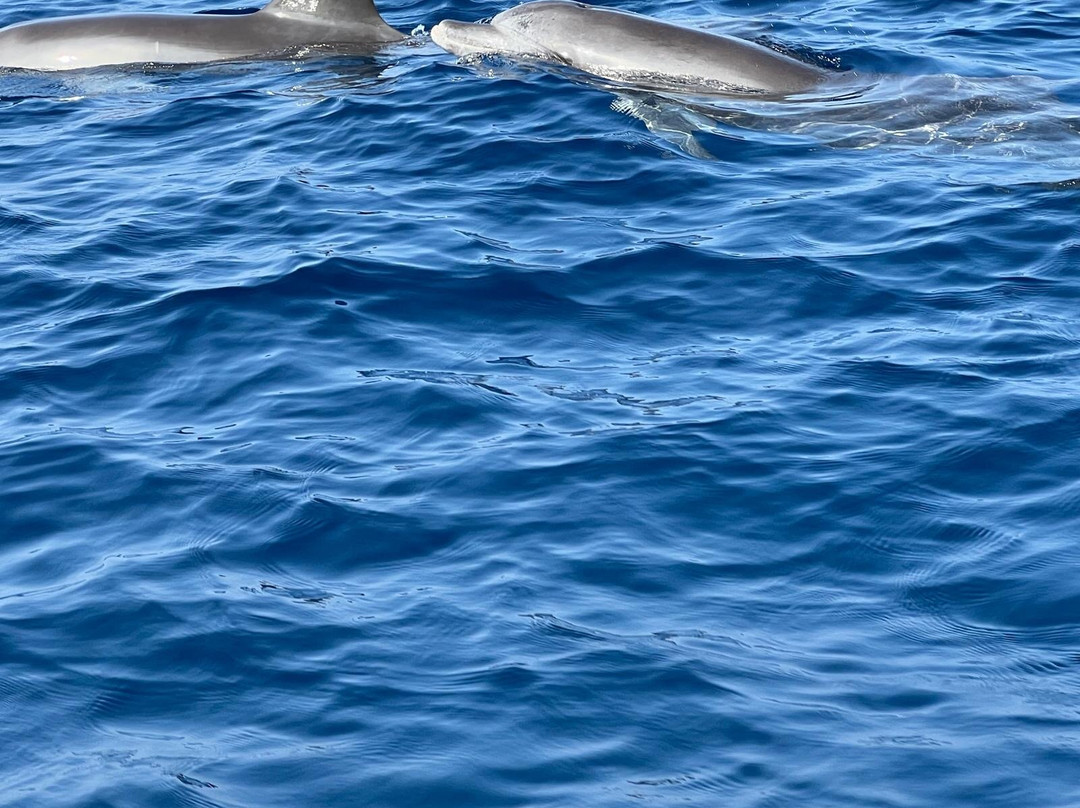 ÄGYPTEN - VIP unvergessliche exclusive Ausflüge mit FARA & HAMADA-Pfungen必去景点