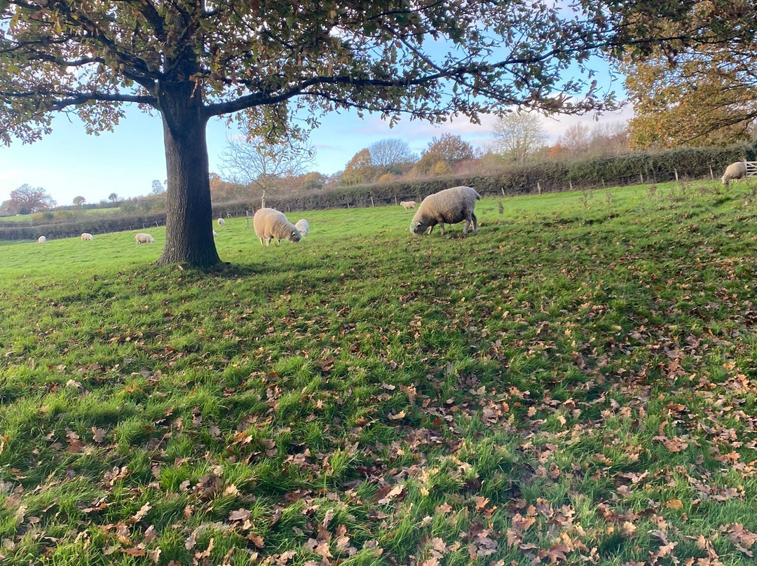 Sissinghurst Castle Estate Walking Trails-Sissinghurst必去景点