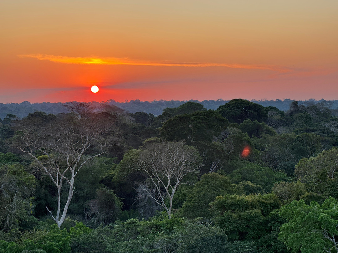Refugio Amazonas Lodge主图