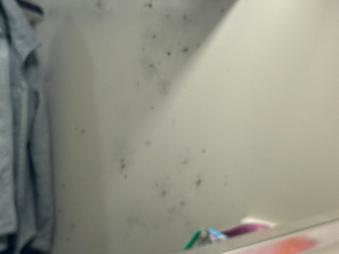 Baymont by Wyndham Kingsland主图