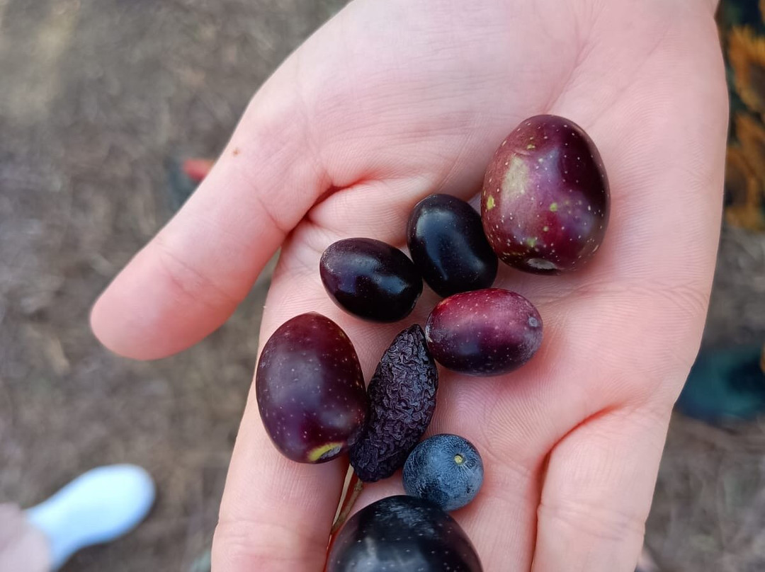 Sancha Pérez Bodega Almazara-Conil de la Frontera必去景点