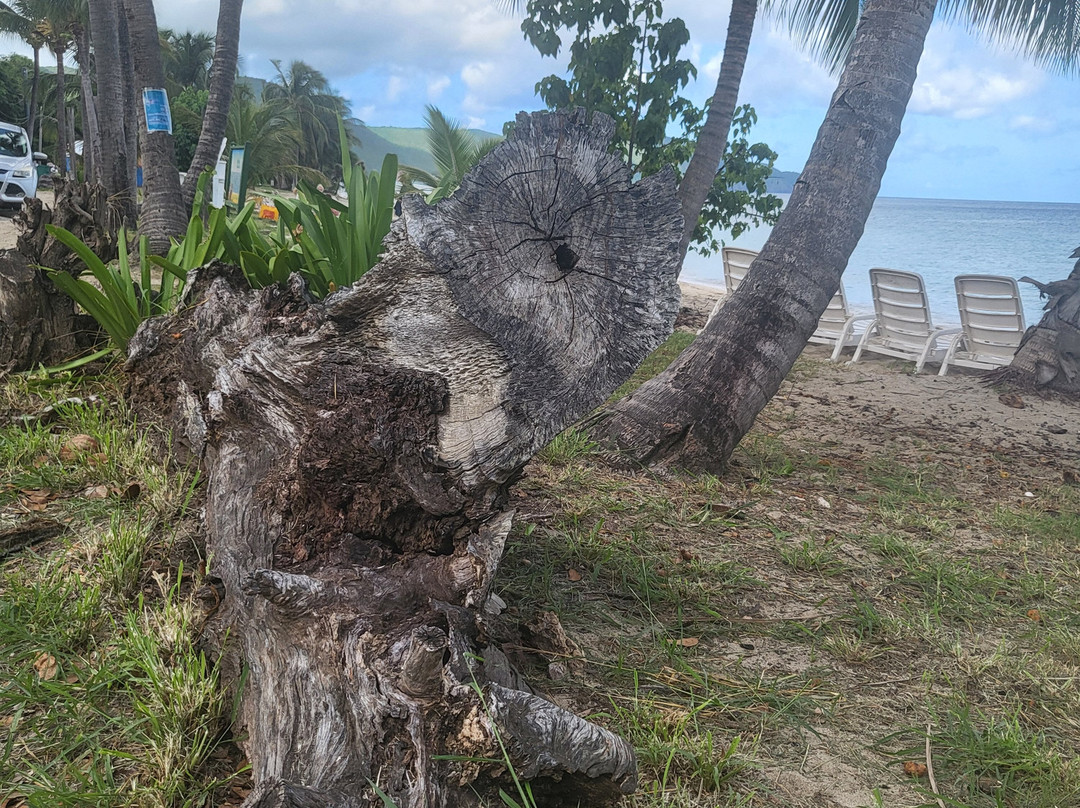 Cane Bay-圣克鲁斯必去景点