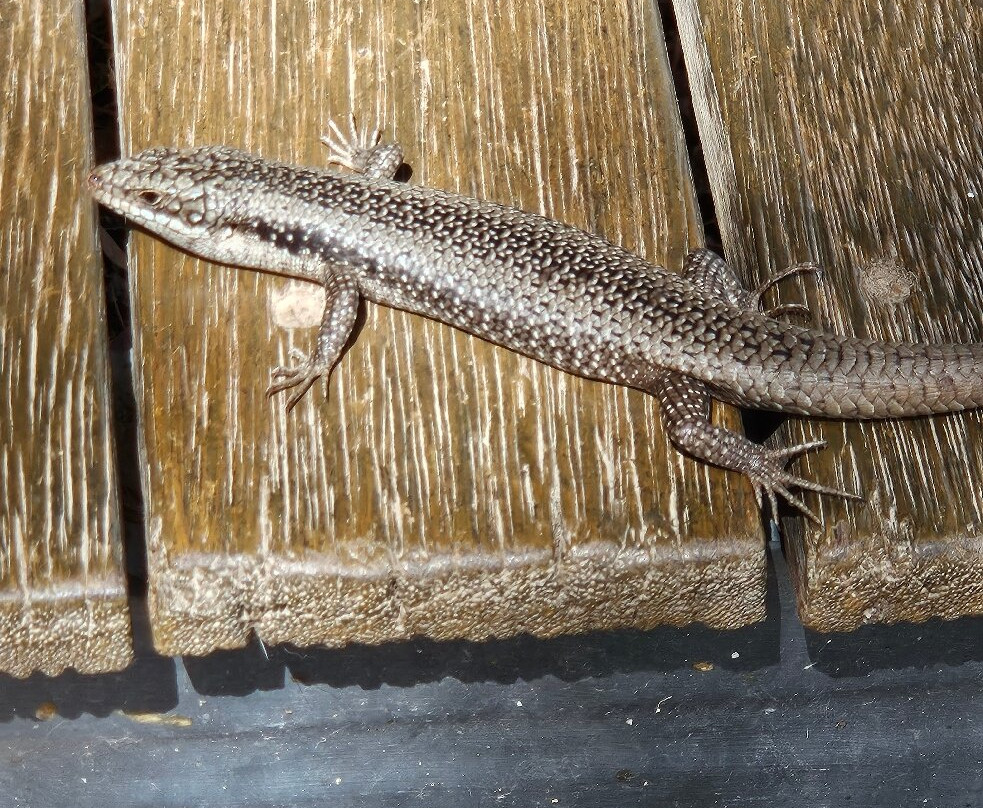 Hillview Farmstay主图