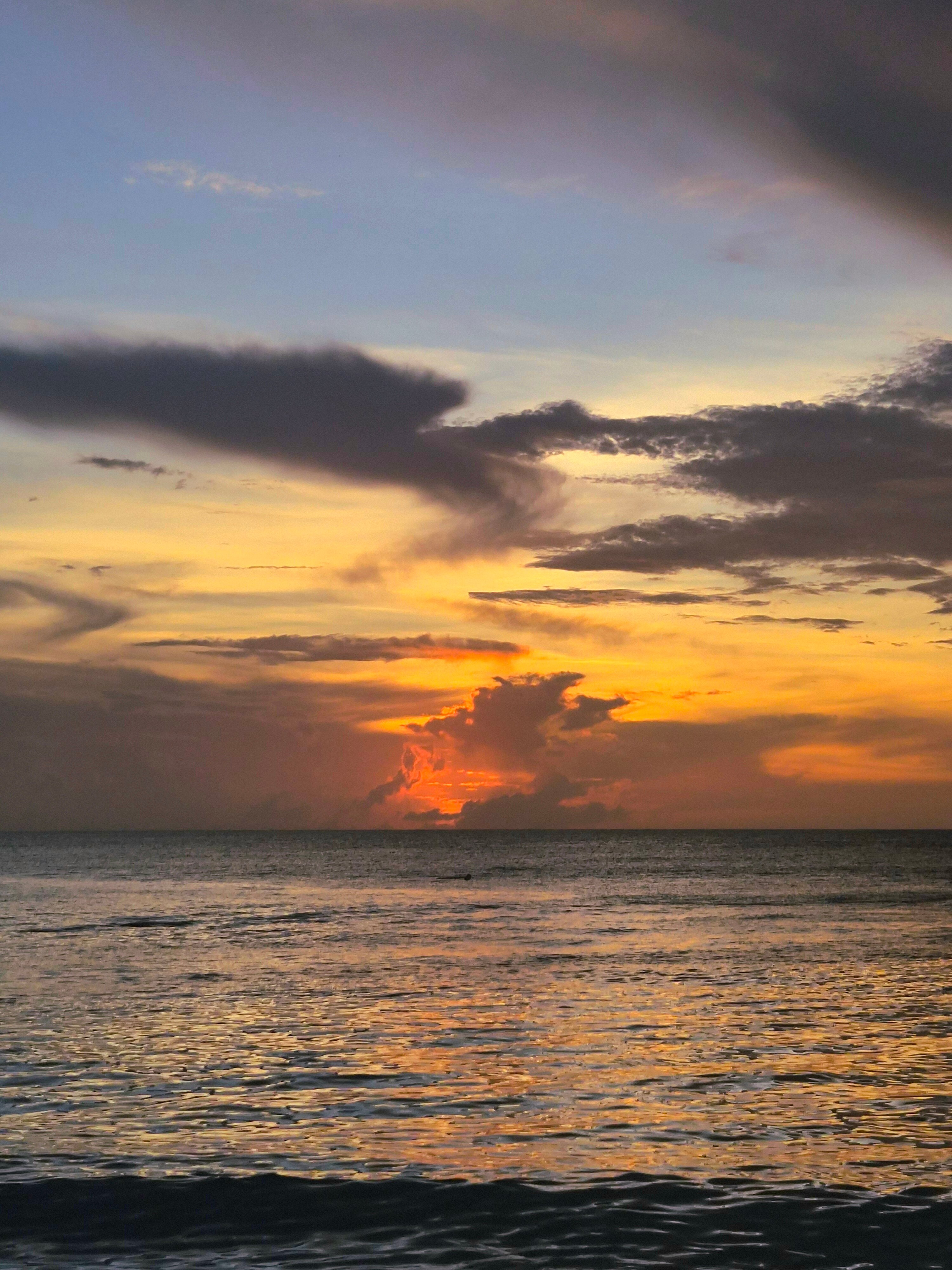 Shepherd's Inn-官方