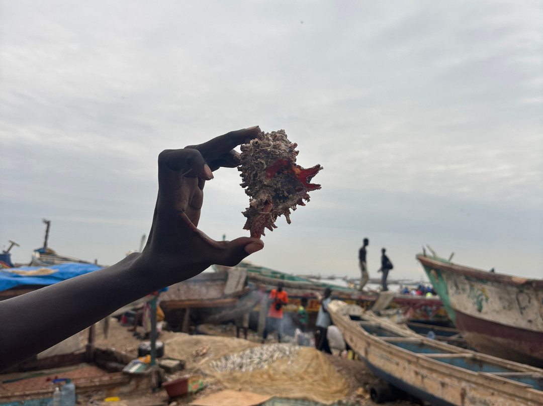 Senegal Voyage-Saly必去景点