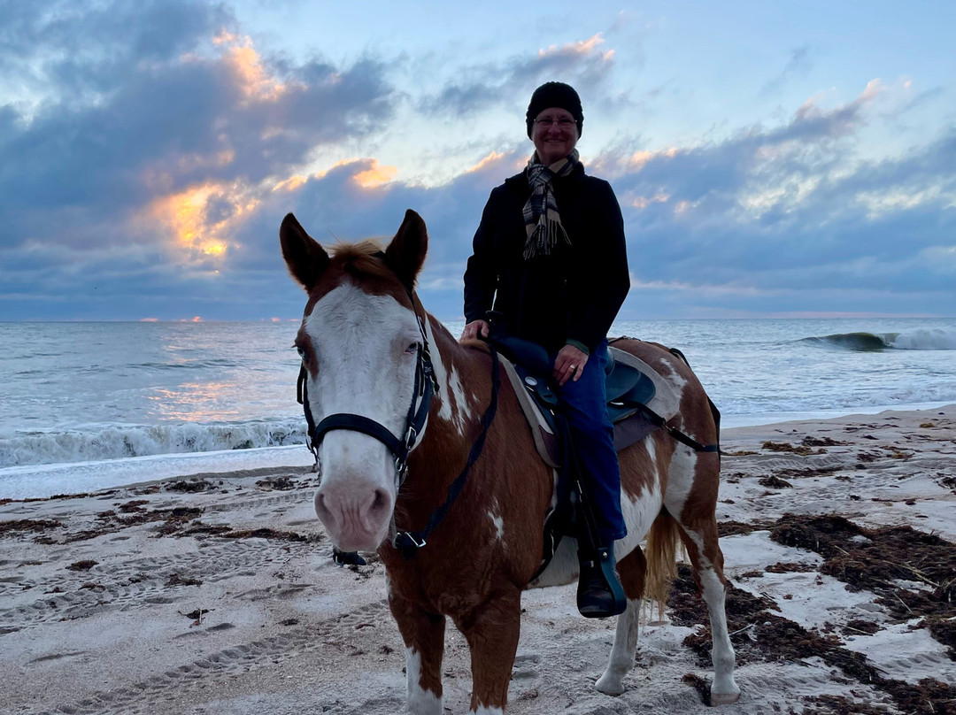Amelia Island Horseback Riding-费尔南迪纳岛必去景点
