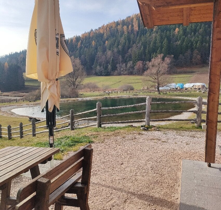 Ai Laghetti di Ruffrè: Arte, Natura, Pace-Ruffre-Mendola必去景点