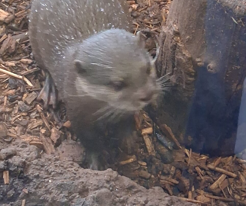 Oceanarium-伯恩茅斯必去景点