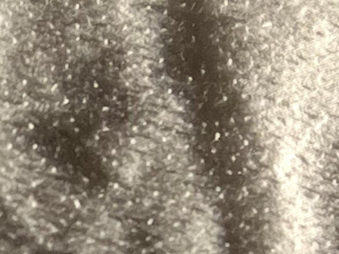 Super 8 by Wyndham Childress主图