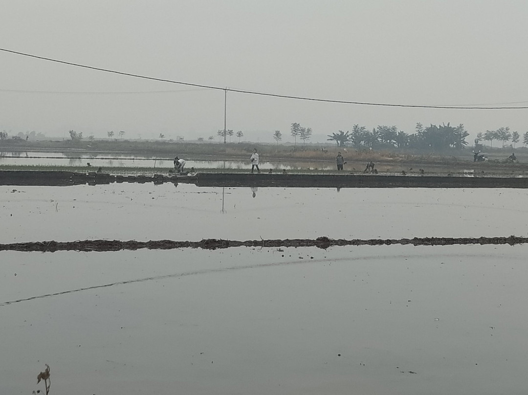 Muong Thanh Luxury Ha Nam主图