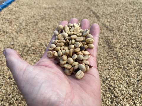 托尼摩托车之旅-清迈必去景点