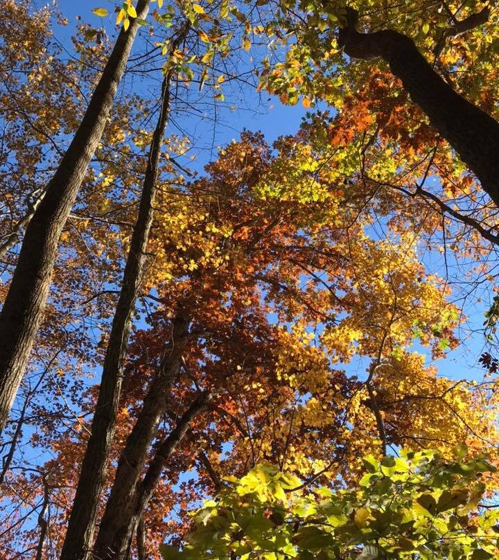 Burke Lake Park-Fairfax Station必去景点