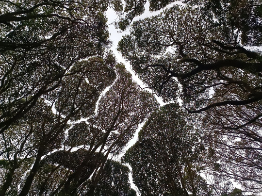 Kisambi Tours-莫西必去景点