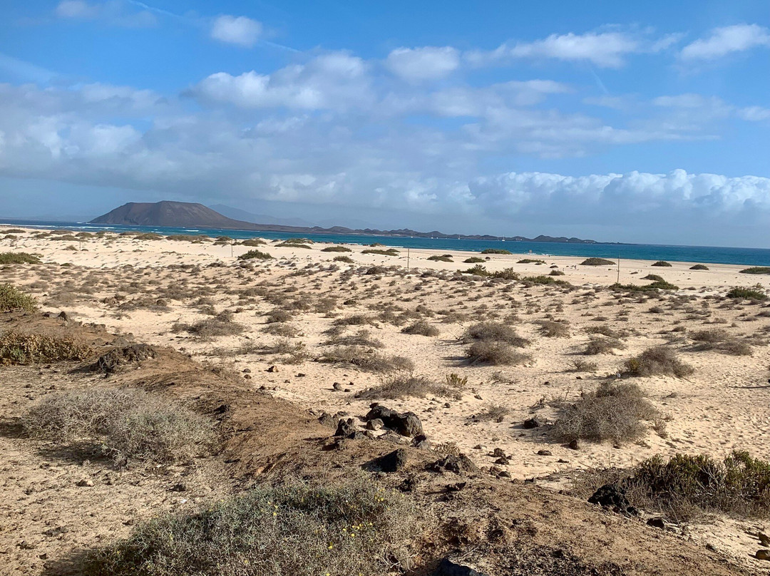 Dunas De Corrallejo-科拉雷侯必去景点