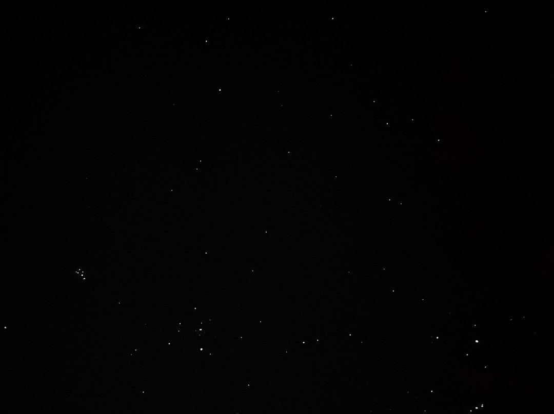 Lagartos Ecoadventure-Barra de Sao Miguel必去景点