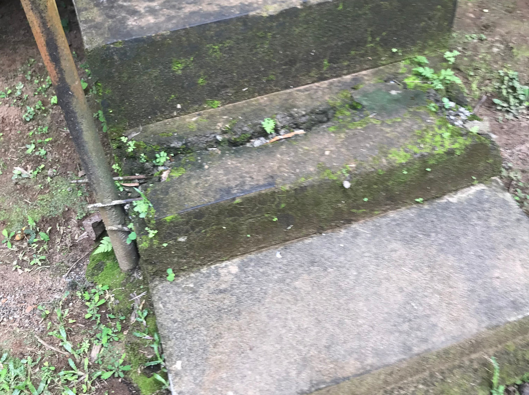 Amritara Riverside Camp主图