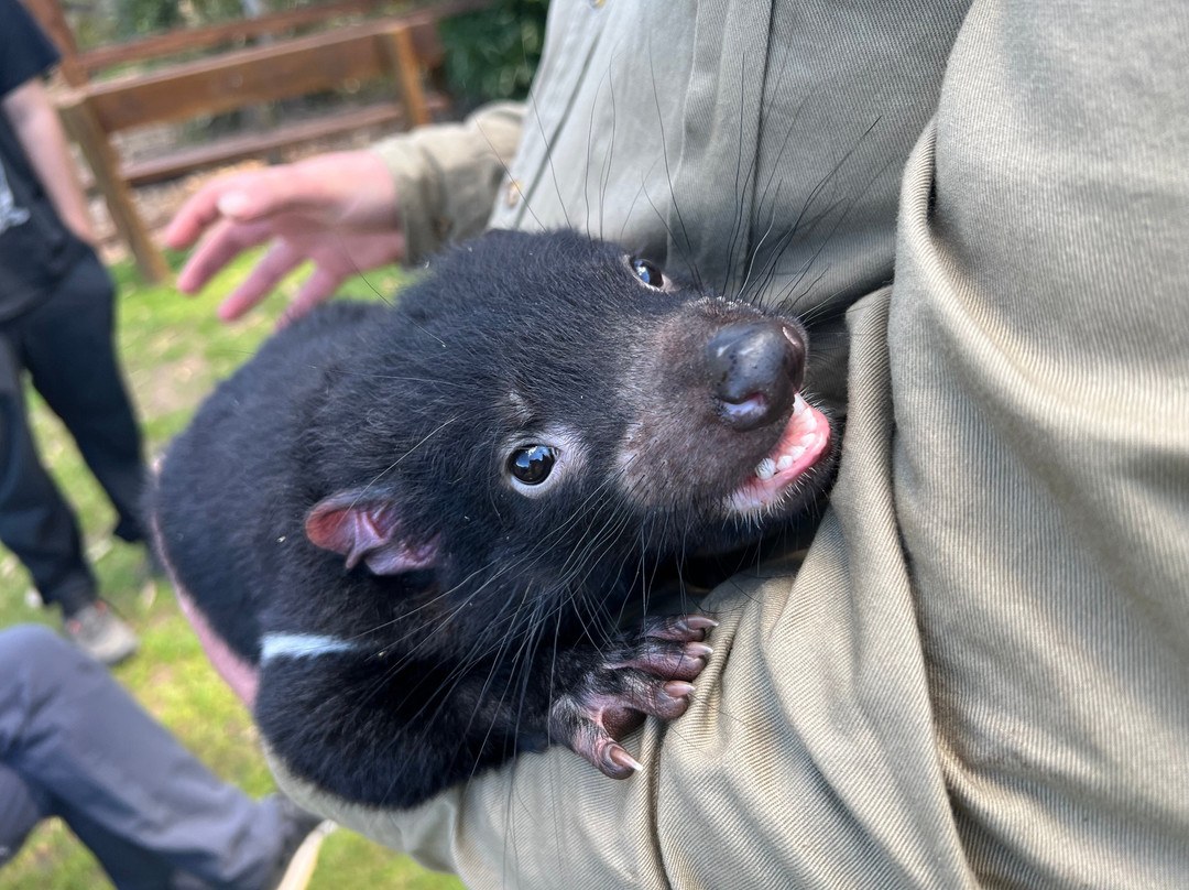 Trowunna Wildlife Sanctuary-茉莉溪必去景点