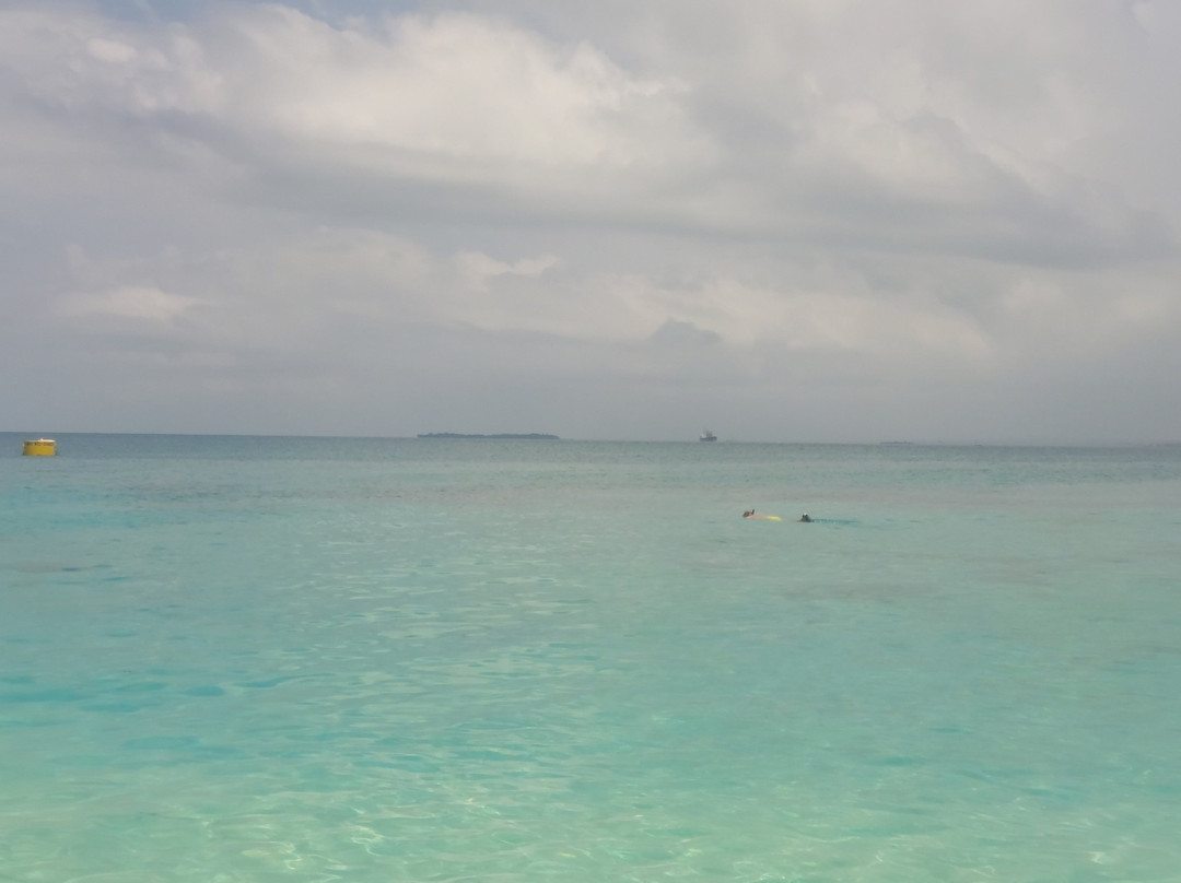 Jorjo Amani Zanzibar Tours-桑给巴尔岛必去景点