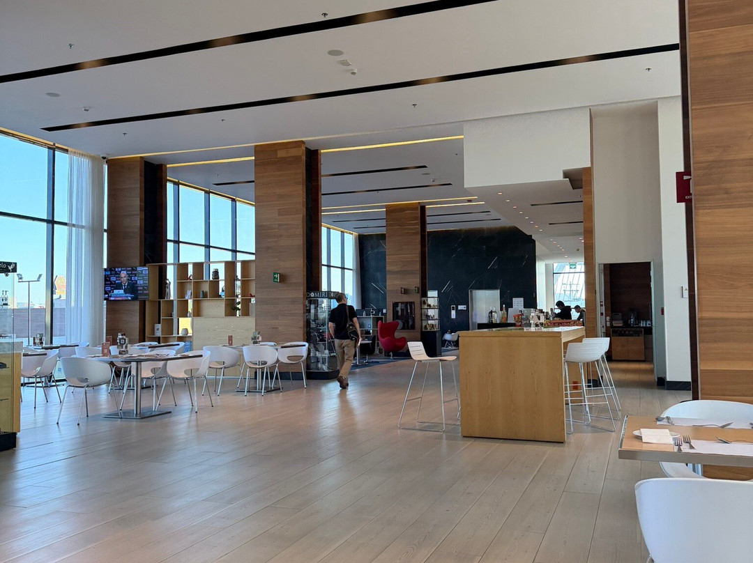 Fiesta Inn Aguascalientes Patio主图