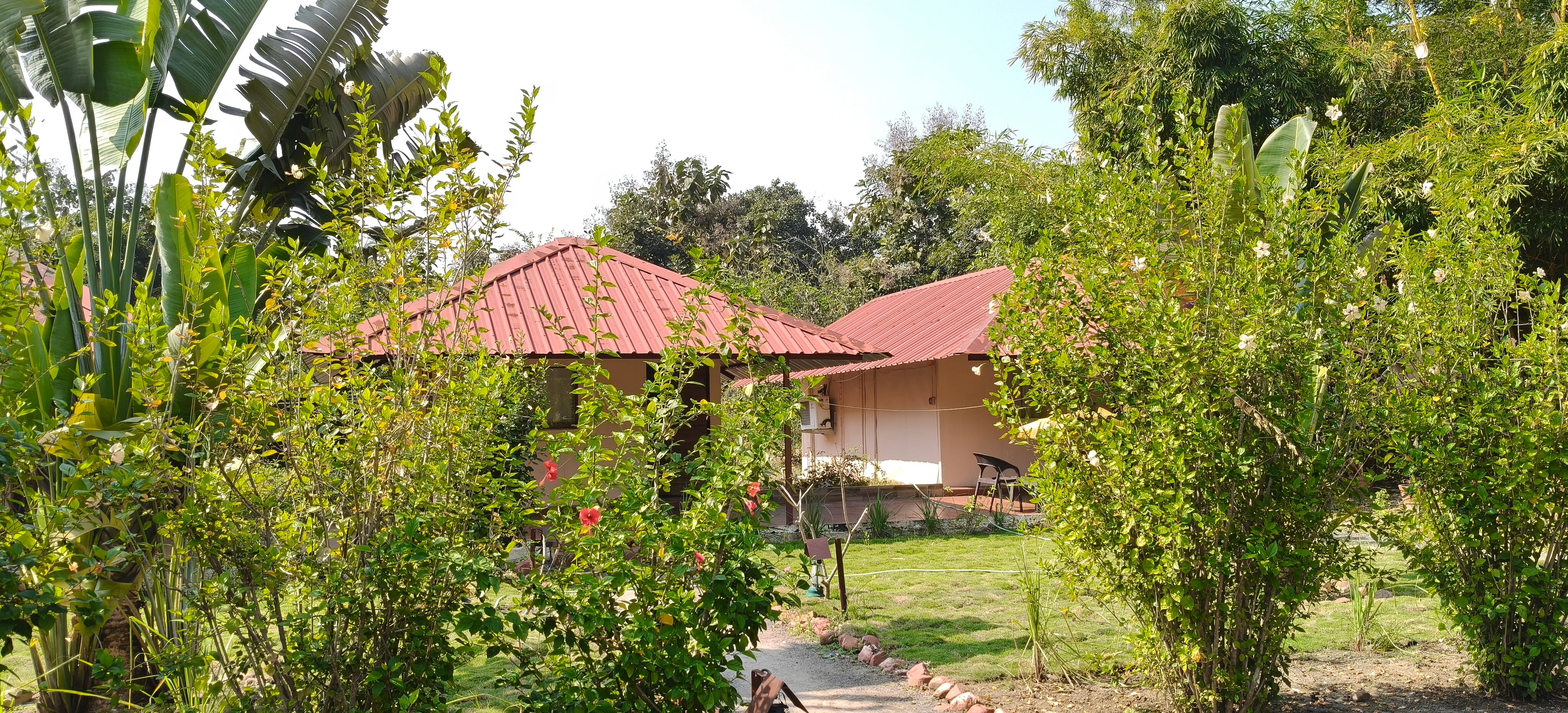 Tadoba Safari Stay Nature's Sprout-官方