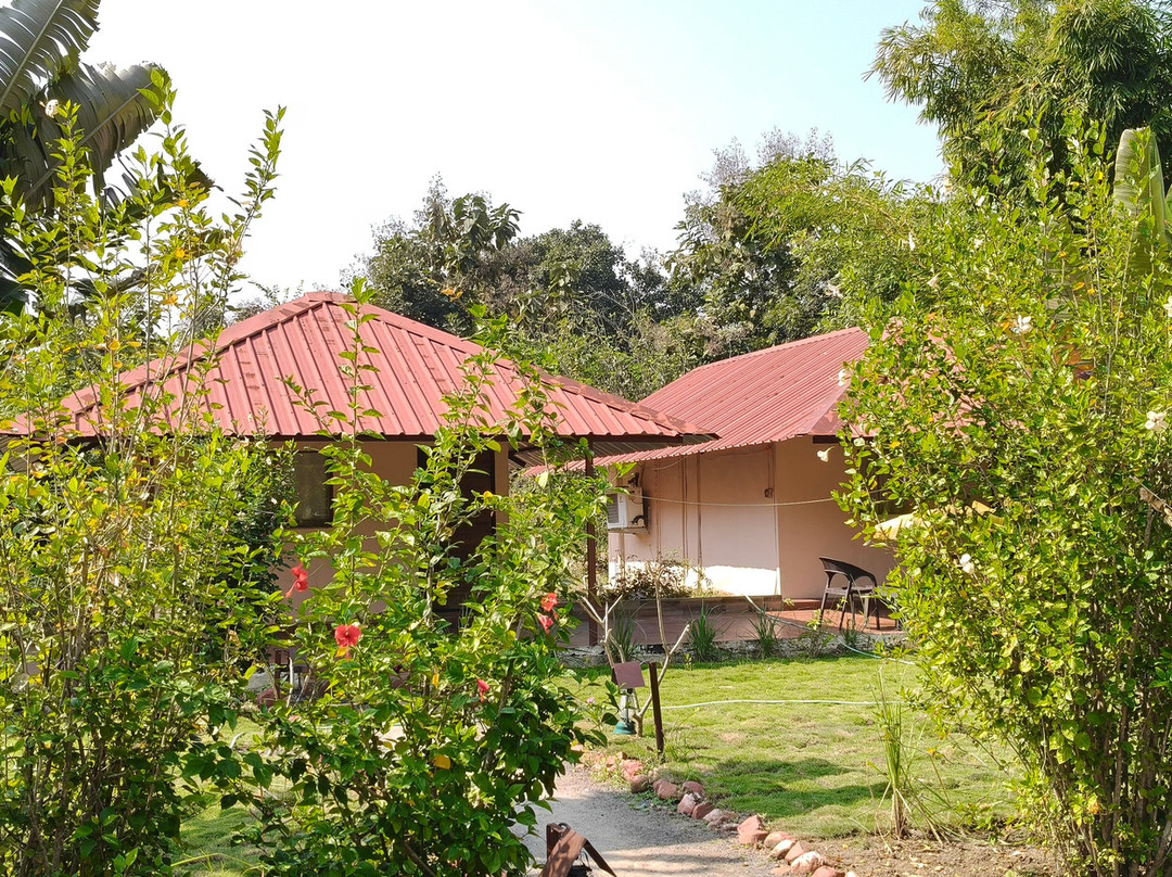 Tadoba Safari Stay Nature's Sprout主图