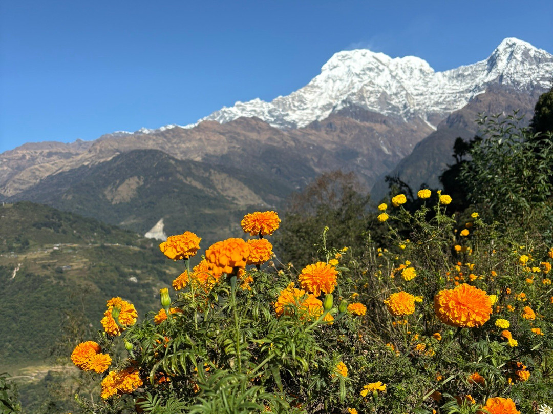 Royal Himalayan Treks-Budhanilkantha必去景点