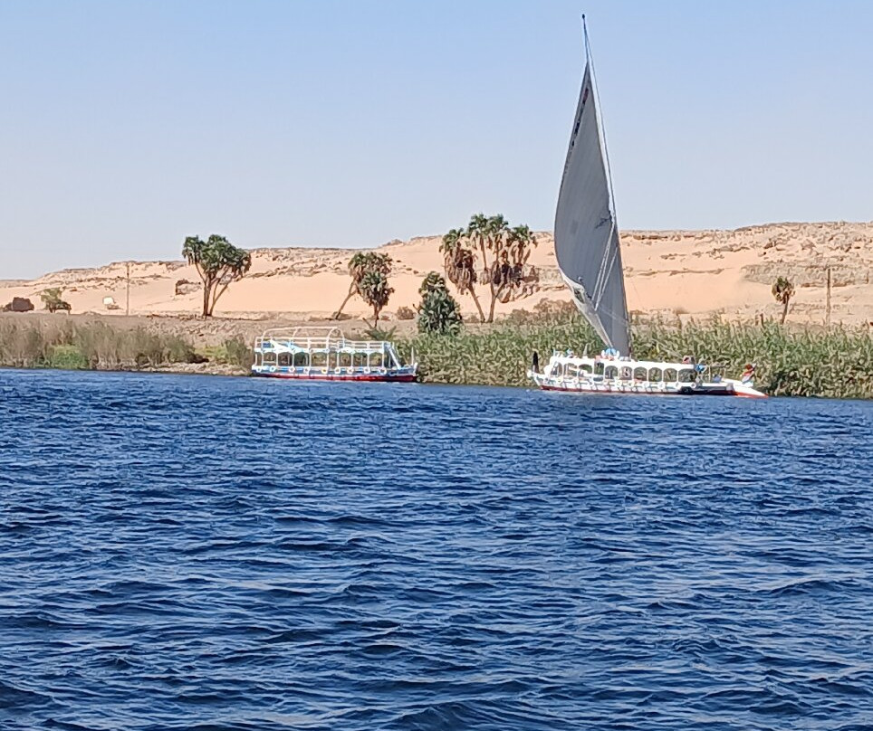 Nile Crocodile Felucca Tour-亚斯文必去景点