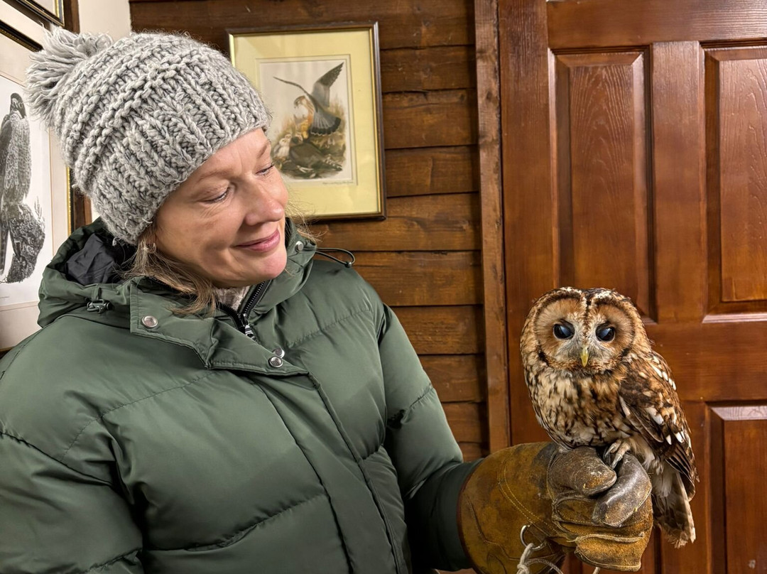 Riverside Falconry-纽卡斯尔必去景点