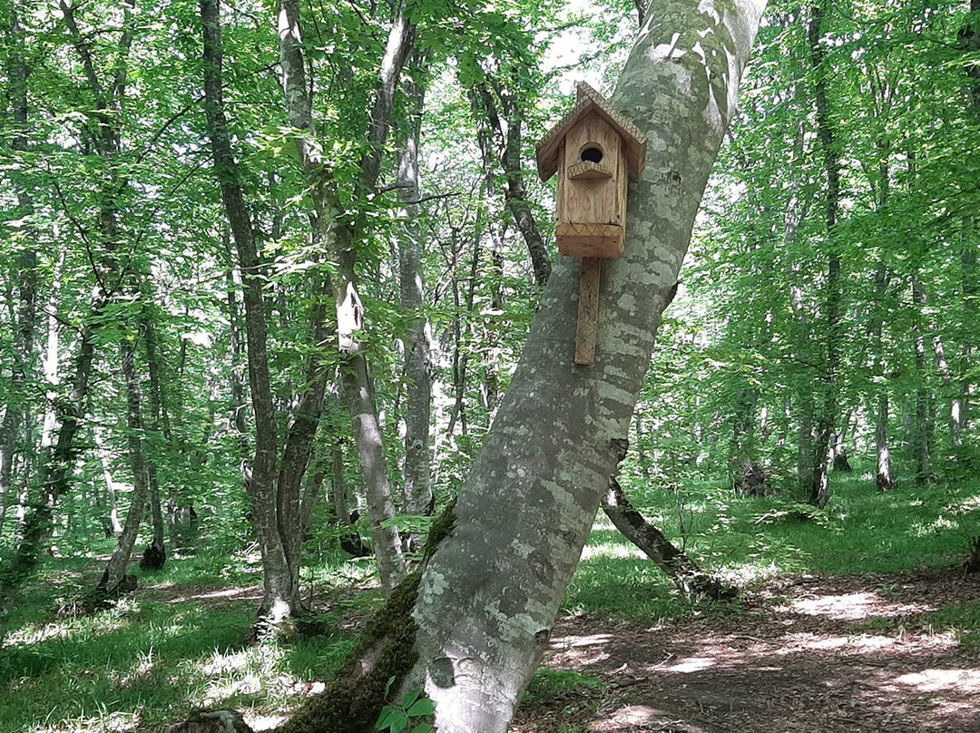 Qusar Terrenkur-Qusar必去景点