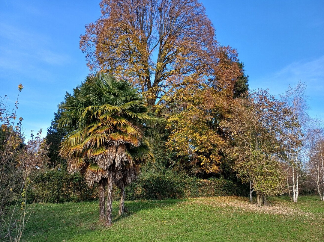 Parco Comunale-切尔梅纳泰必去景点