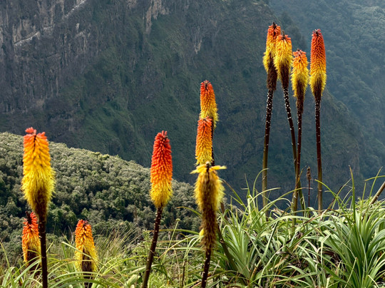 Hike Ethiopia-贡德尔必去景点