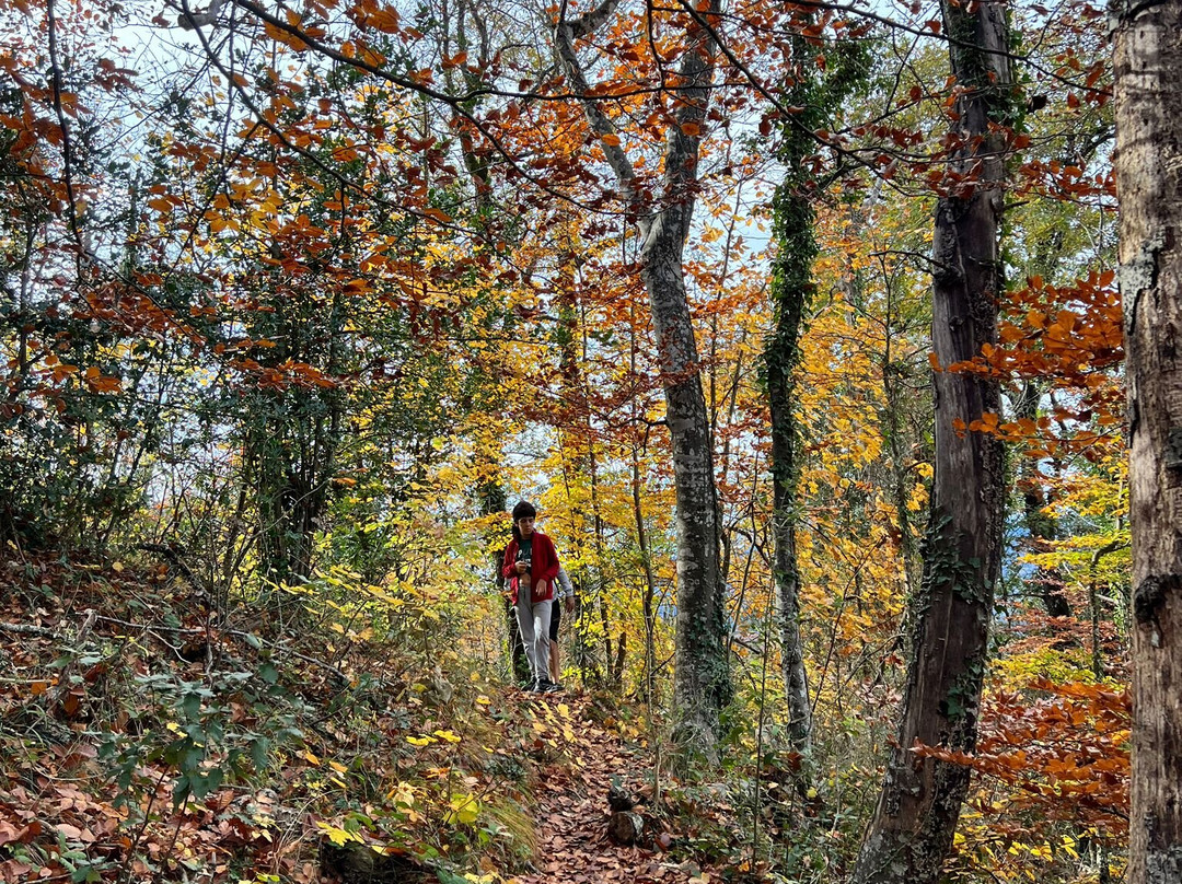 Bufadors de Bevi-Santa Maria de Besora必去景点