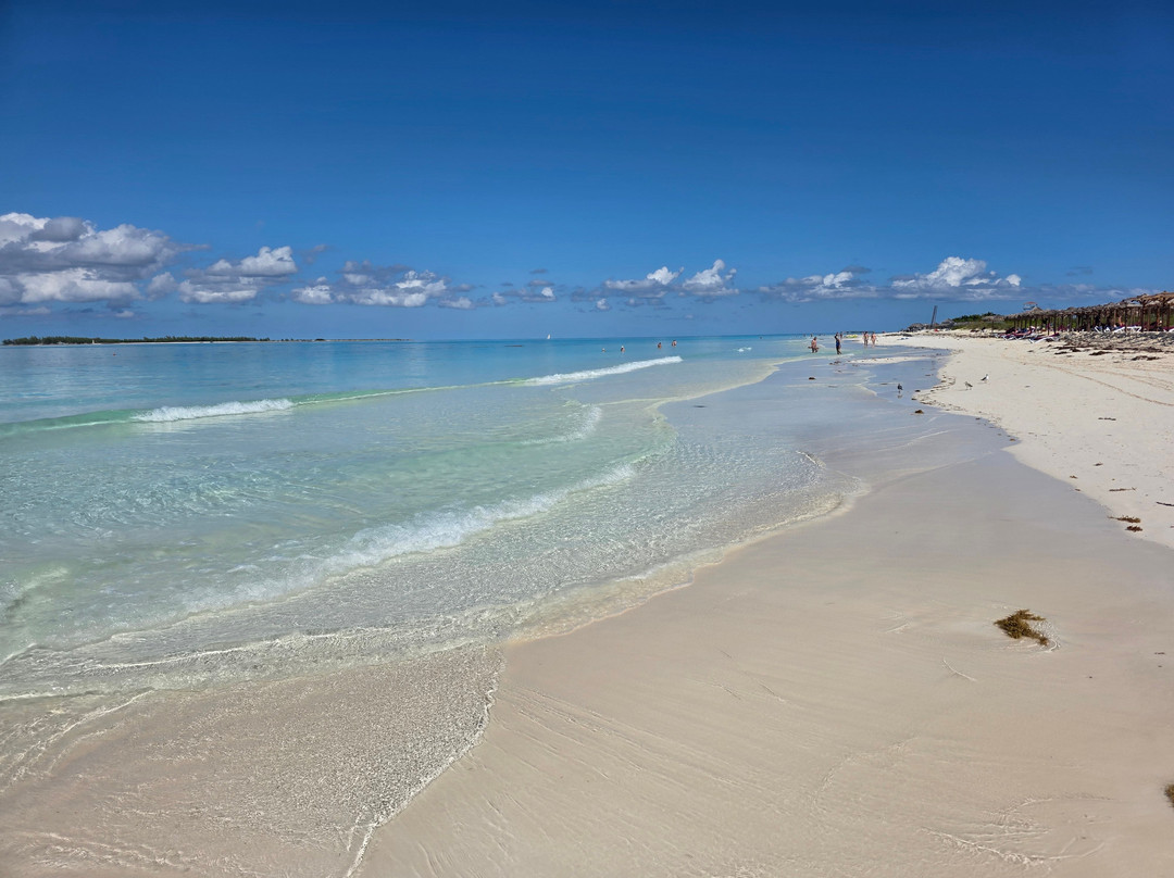 Playa Luxury Cayo Guillermo Hotel主图