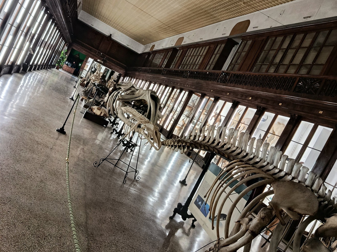 MUSA - Museo Universitario delle Scienze e delle Arti-那不勒斯必去景点