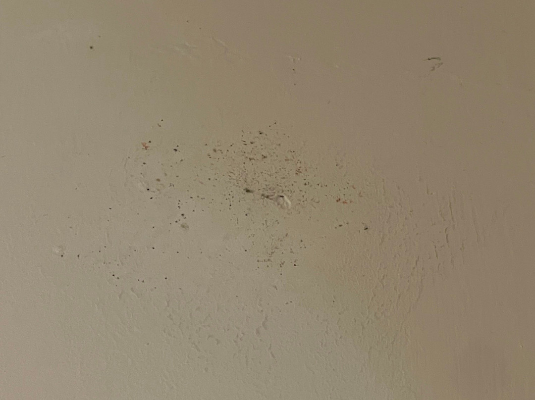 普瑞米尔哈洛酒店主图